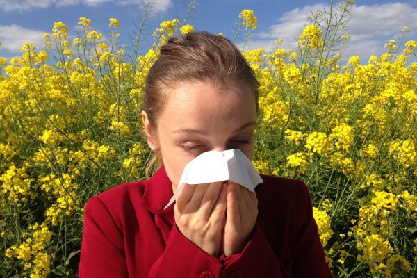 Allergies occur when the immune system overreacts to substances