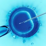 4 Reasons You May Seek In Vitro Fertilization (IVF)